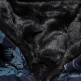 Куртка утепленная укороченная расцветка серый камыш с меховым воротником и капюшоном